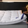 Five-star hotel homestay mattresses, home cushions, student dormitory soft cushions, single tatami MATS thickened by 10cm Application Scenario